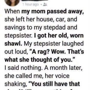 My Sister Celebrated Stealing Our Family Estate and Leaving Me Homeless, But When the Lawyer Started Laughing, She Had No Idea a Secret Clause Just Cost Her Everything